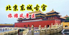 少妇潮吹中国北京-东城古宫旅游风景区